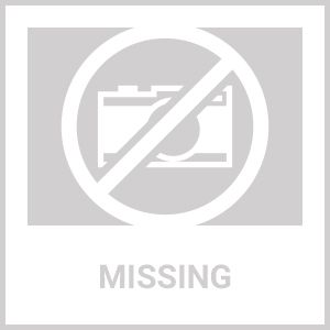 Handheld Shower Head Stainless High Pressure 5 Spray Settings Massage ...